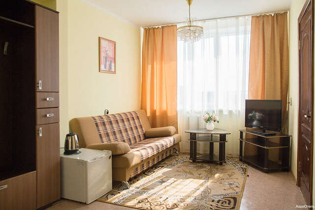 Гостиница АэроОтель Богашево-46